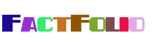 FactFolio Insights>